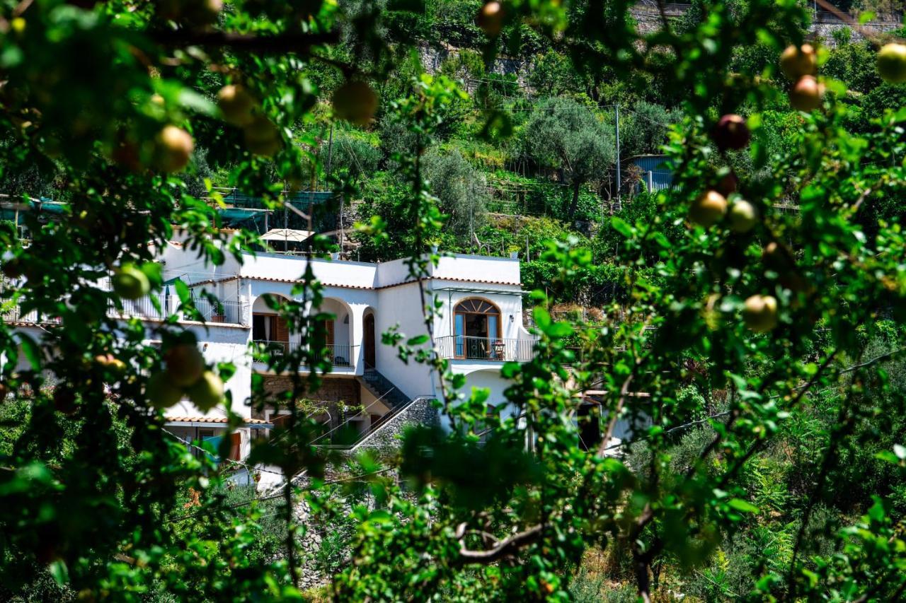 Villa Genny And Emily Positano Exterior foto